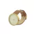 RELOJ CAPTAIN FIN TWISTER en internet