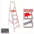 Escada Doméstica 5 Degraus Aluminio ESC0064 Botafogo na internet