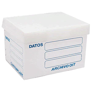 CAJA ARCHIVO MUERTO PLASTICO
