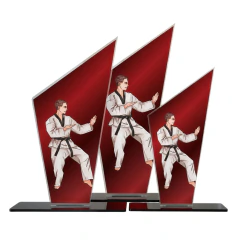 Troféu de Luta Taekwondo / Karatê p/ Campeonatos