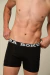 Boxer Kastaño Negro - comprar online