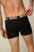 Boxer Kastaño Negro - BOKURA