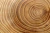 Esencia de Madera - comprar online