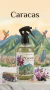 Aromatizadores de Ambiente - Colección Ciudades del Mundo - comprar online