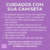 Camiseta Preta de Algodão Unissex Bear Street "Stay Cool" (PRAZO 10 DIAS ÚTEIS) - Gabstudio