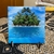 Azulejo Paisagens Paradisíacas - loja online