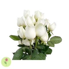 Maço com 20 Rosas Brancas- NÃO CONTÉM EMBALAGEM PARA PRESENTE - comprar online