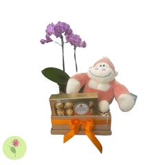 Caixa com Pelúcia Flores e Chocolates