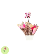 Mini Orquídea Rosa Cachepô de Madeira