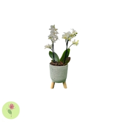 Mini Orquídea Branca Cachepô Pés