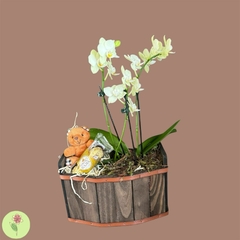 MIni Orquidea com Ferrero e Chaveiro