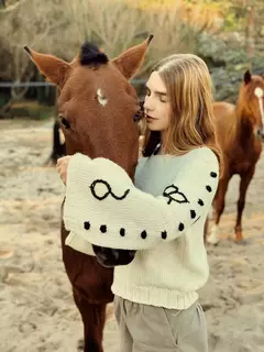 SWEATER AMADEO - comprar online