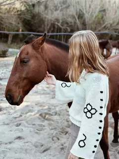 SWEATER AMADEO en internet