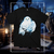 HEDWIG