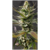 Chem Felix - Family Grower - AUTO 3 SEMILLAS
