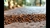protex drenante x 8 lts .Pisos permeables - comprar online