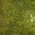 VERDE ZONE X 4GR. - GLITTER QUARTZ