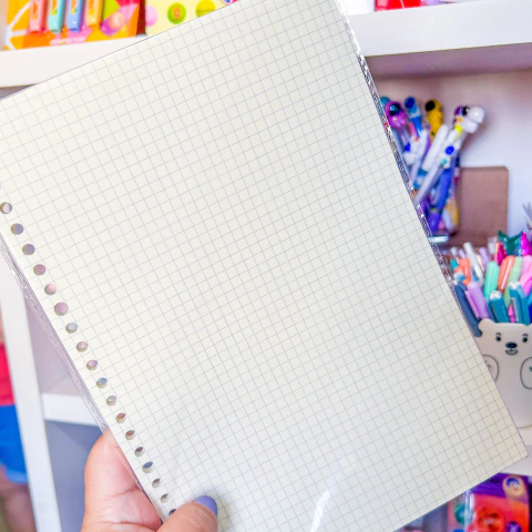 Refil de Folhas B5 - Caderno Fichário