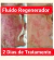 Fluido Regenerador - Bila Herrmann Naturopatia