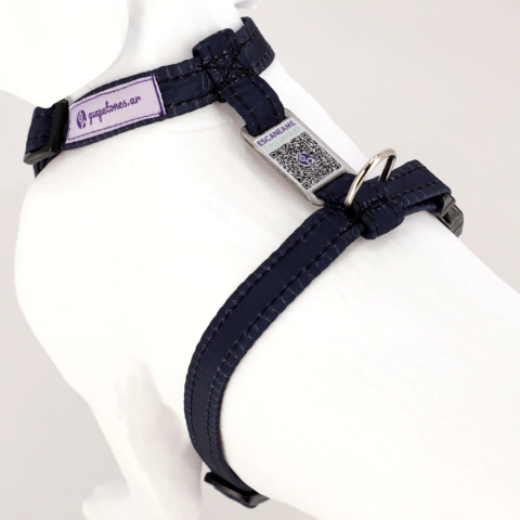 Combo GuapeTotal: Collar + Pretal + Correa + Regalo en internet