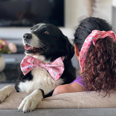 Combo Mama Perruna: Collar con QR de identificación + Moño + Scrunchy - Guapetones