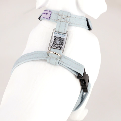 Combo GuapeTotal: Collar + Pretal + Correa + Regalo - comprar online