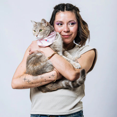 Bandana o pañoleta para gatos - comprar online