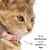Imagen de Combo Elegante para Gatitos: Collar con QR de identificación + Moño