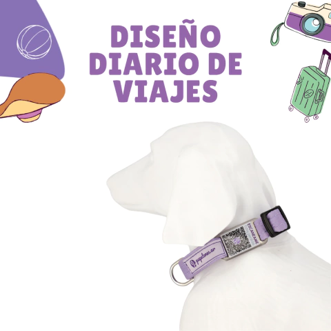 Combo Viajero (Pretal + GuapeSafe + Correa)