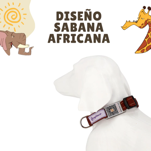 Combo Viajero (Pretal + GuapeSafe + Correa) - comprar online