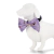 Combo Elegante para perritos Collar con QR + Moño con diseño en internet