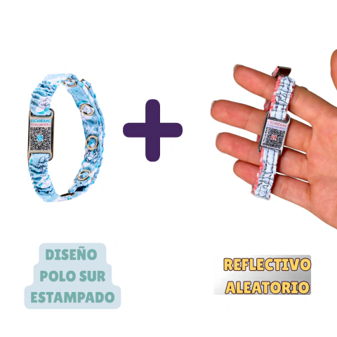 Combo Día & Noche para Gatitos con QR de identificación - tienda online
