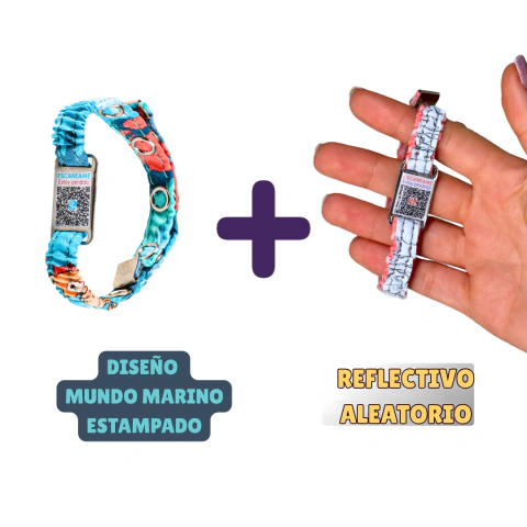 Combo Día & Noche para Gatitos con QR de identificación en internet