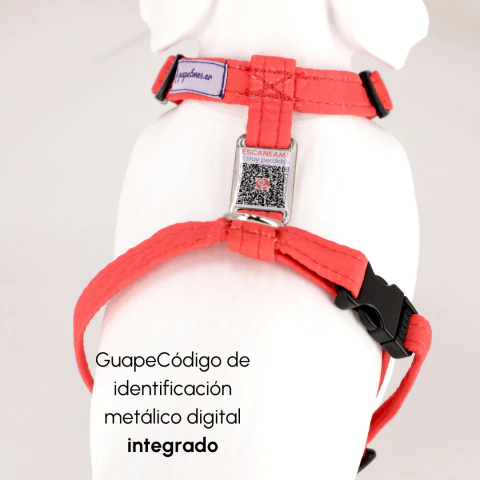 Combo Básico (Pretal con QR + Correa) - Guapetones