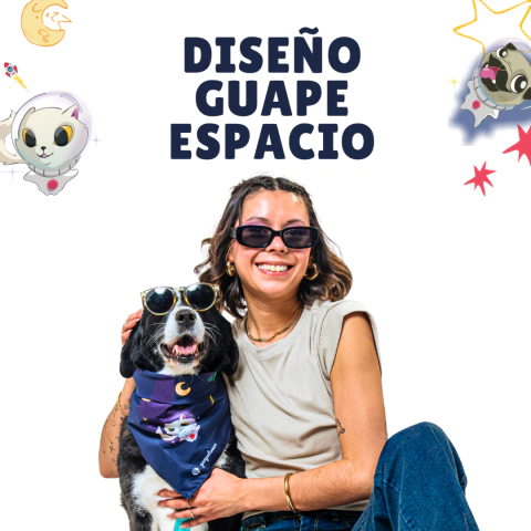 Bandana o pañoleta para perros - comprar online