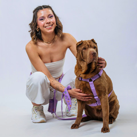 Pretal en H Reforzado Calidad Premium diseños Lisos - comprar online