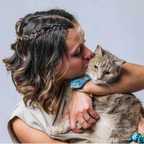 Corbatin especial para gatos - comprar online