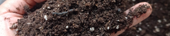 Banner de la categoría Tierra y sustratos
