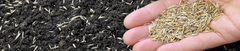 Banner de la categoría Semillas de cesped