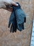Guantes Reforzados