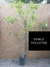 ROBLE PALUSTRE