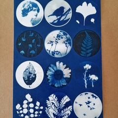 Stickers Cianotipia - comprar online