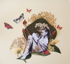 ON LINE Flores Prensadas Sin Materiales - tienda online