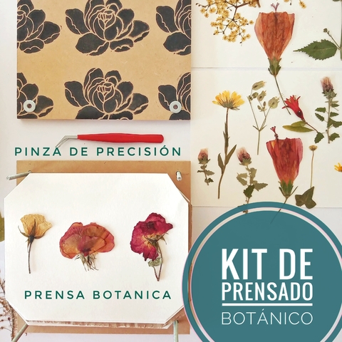 Kit de Prensado Botánico