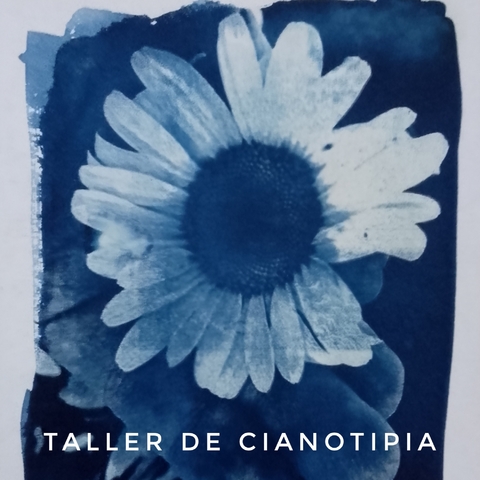 On line Cianotipia Sin Materiales