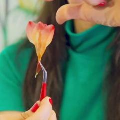 On line Cianotipia Sin Materiales en internet