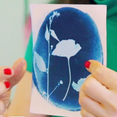 Taller Cianotipia Botánica On Line - comprar online