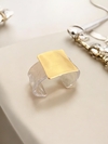 Bracelete Ella Resina Escovado - comprar online