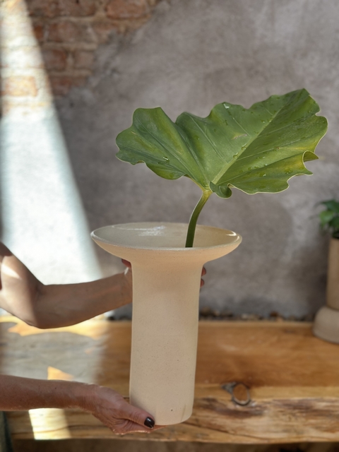 Vaso Copa Alto