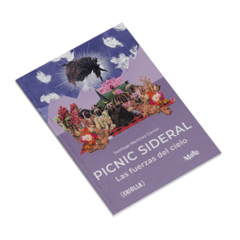 PICNIC SIDERAL - LAS FUERZAS DEL CIELO